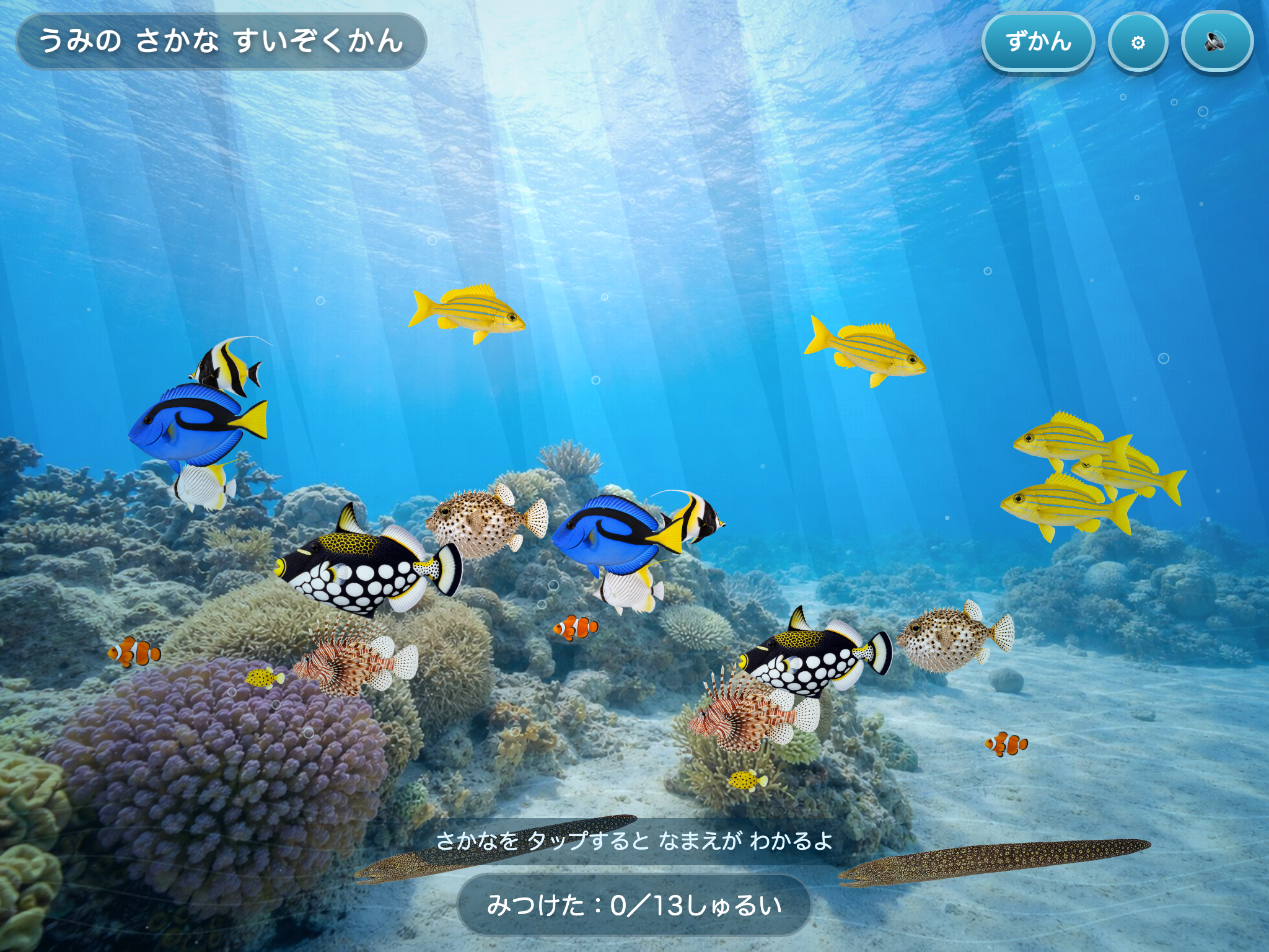 うみの さかな すいぞくかん の画面